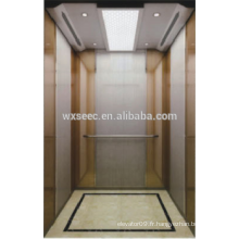 Ascenseur élévateur de luxe de luxe en provenance de Chine